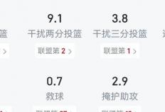 NBA豪(háo)门争夺顶级盖帽大将凯斯勒