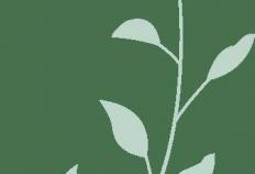 見(jiàn)面会精彩集锦新鲜出炉！