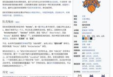 纽约尼克斯队-全栈工程师