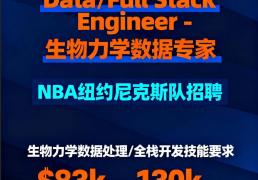 纽约尼克斯队-全栈工程师