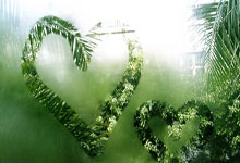 青少年篮球训练营在津开营