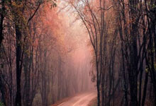 可行？NBA总经理建议季后赛改为1-16号种子对陣(zhèn)，头号种子选择对手