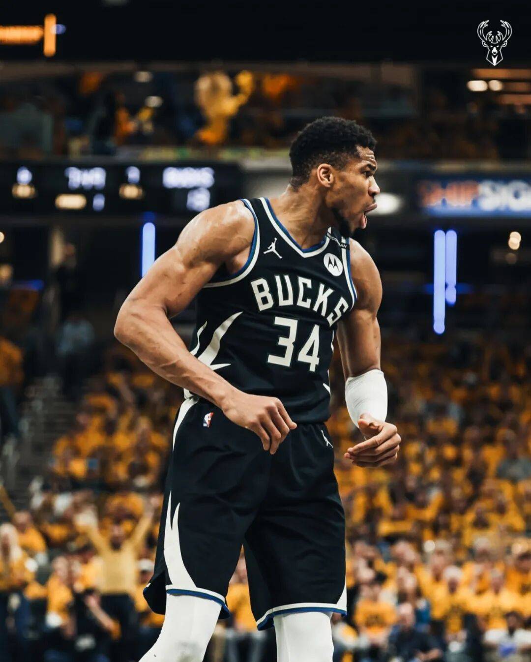 雄(xióng)鹿尼(ní)克斯曾討(tǎo)论字母哥交易！雄(xióng)鹿对字母哥也是够可以了！