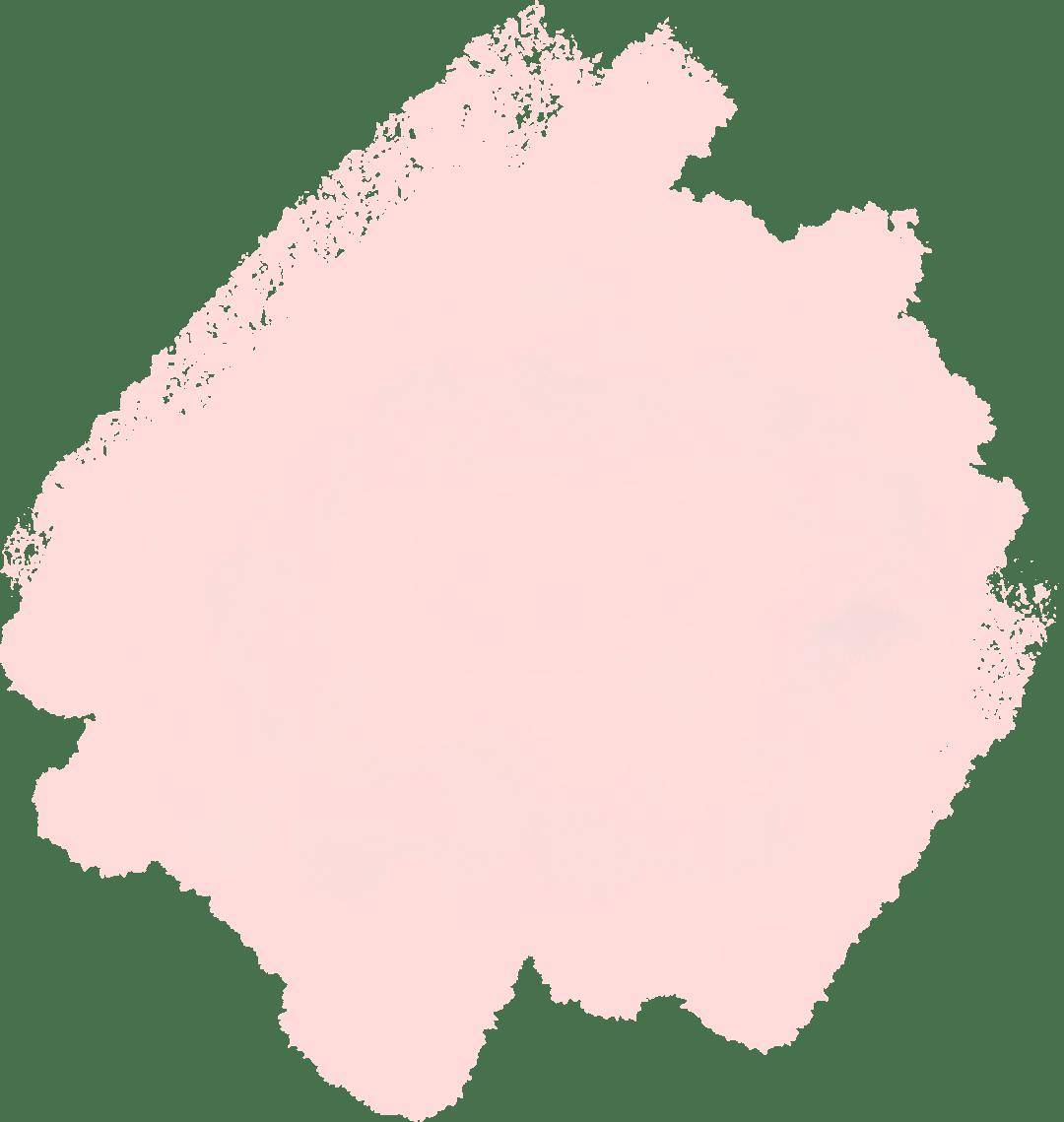 見(jiàn)面会精彩集锦新鲜出炉！